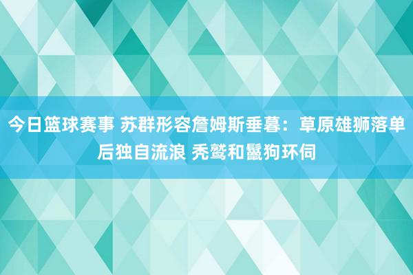 今日篮球赛事 苏群形容詹姆斯垂暮：草原雄狮落单后独自流浪 秃鹫和鬣狗环伺